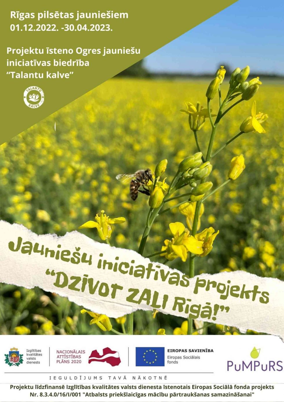 Bezmaksas pašizaugsmes programma jauniešiem